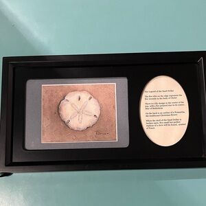 The Legend of the Sand Dollar Painting